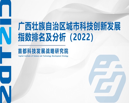 老浪妇操逼内射视频【成果发布】广西壮族自治区城市科技创新发展指数排名及分析（2022）